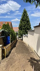 Rekonstrukce zahrady včetně pokládky travního koberce Praha